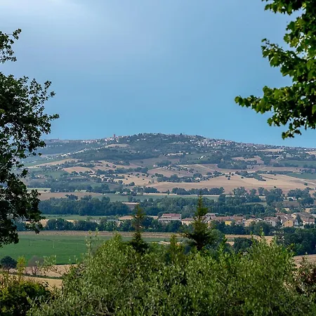In Marche Near Adriatic Coast Montelupone